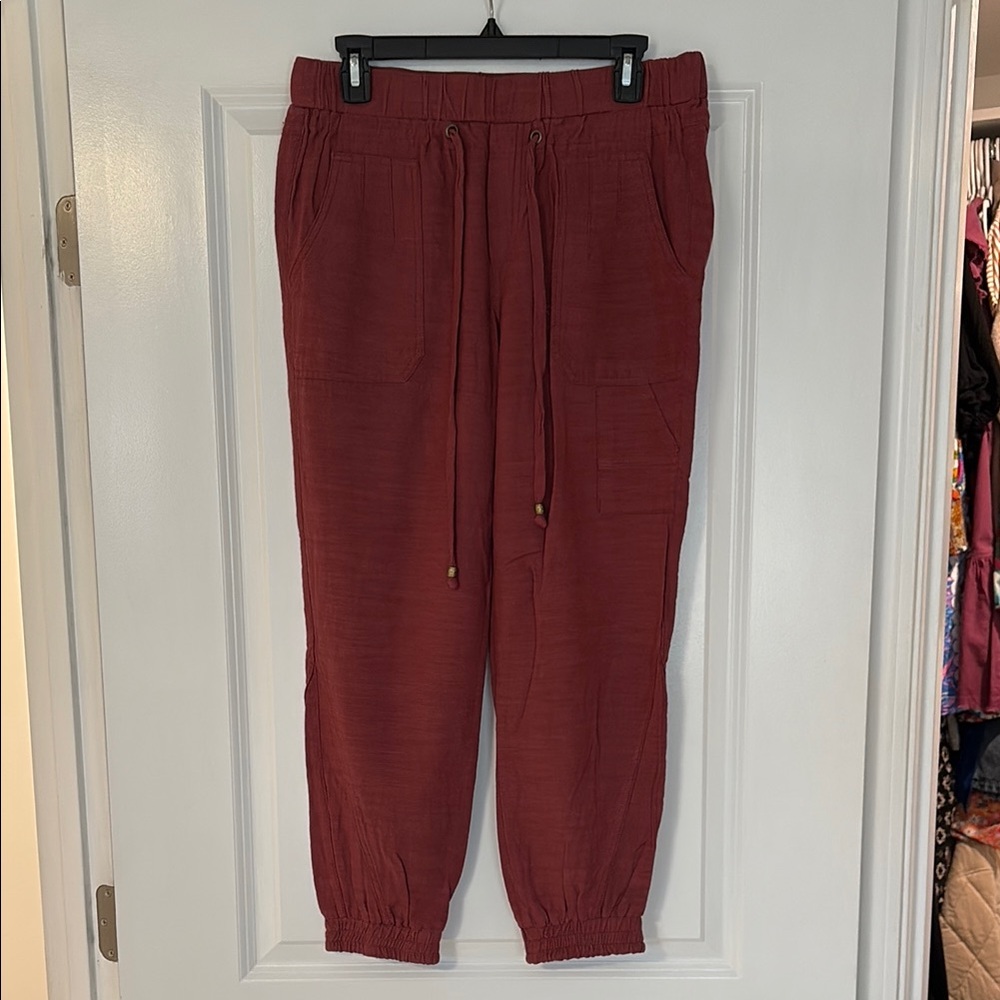 Democracy Pants